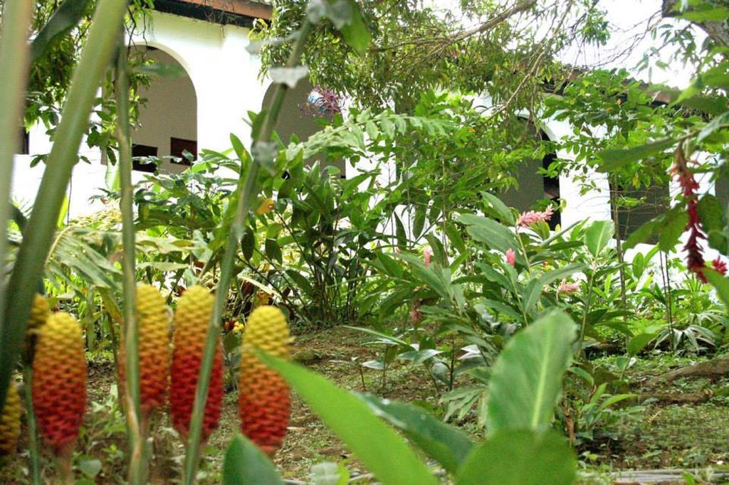 Hotel Minca - La Casona Exterior photo